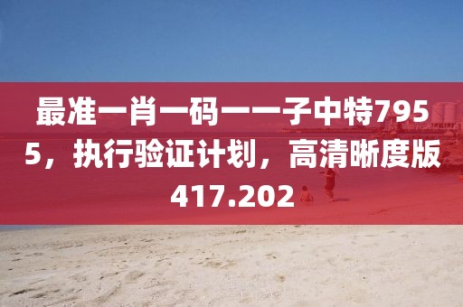 最准一肖一码一一子中特7955，执行验证计划，高清晰度版417.202