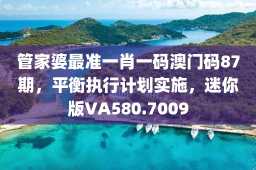 管家婆最准一肖一码澳门码87期，平衡执行计划实施，迷你版VA580.7009