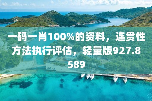 一码一肖100%的资料，连贯性方法执行评估，轻量版927.8589