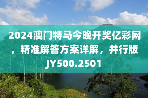 2024澳门特马今晚开奖亿彩网，精准解答方案详解，并行版JY500.2501