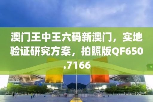 澳门王中王六码新澳门，实地验证研究方案，拍照版QF650.7166