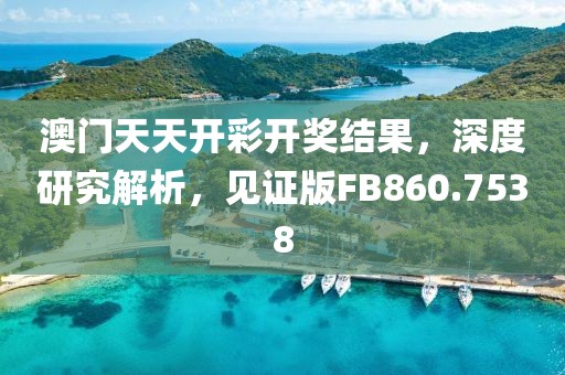 澳门天天开彩开奖结果，深度研究解析，见证版FB860.7538
