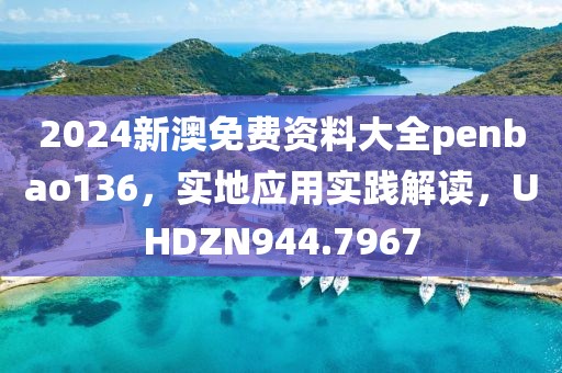 2024新澳免费资料大全penbao136，实地应用实践解读，UHDZN944.7967