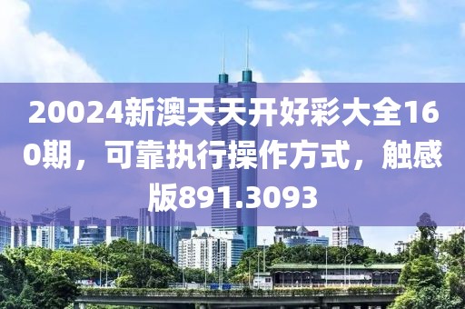 20024新澳天天开好彩大全160期，可靠执行操作方式，触感版891.3093