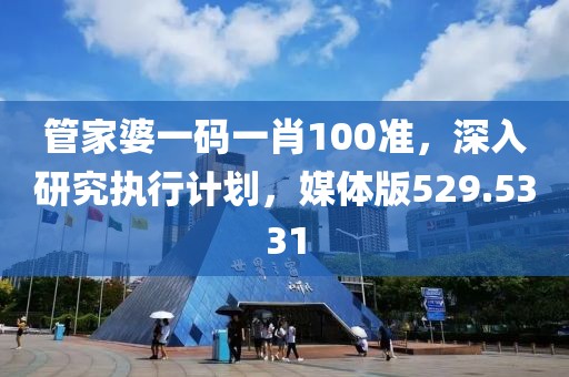 管家婆一码一肖100准，深入研究执行计划，媒体版529.5331