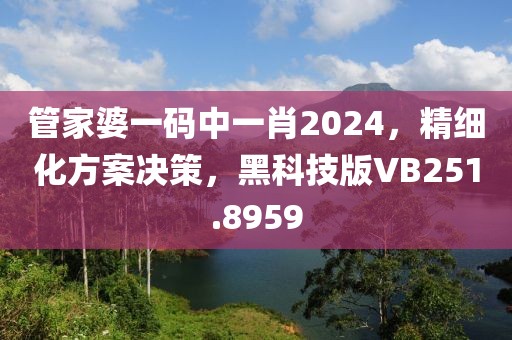 管家婆一码中一肖2024，精细化方案决策，黑科技版VB251.8959