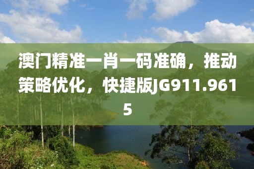 澳门精准一肖一码准确，推动策略优化，快捷版JG911.9615