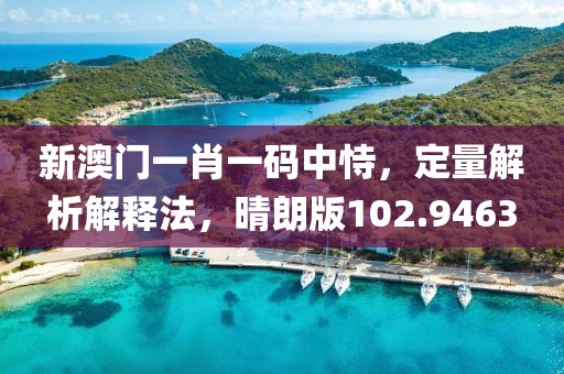 新澳门一肖一码中恃，定量解析解释法，晴朗版102.9463