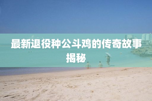 最新退役种公斗鸡的传奇故事揭秘