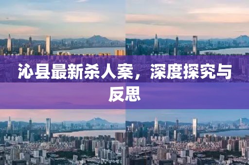 沁县最新杀人案，深度探究与反思