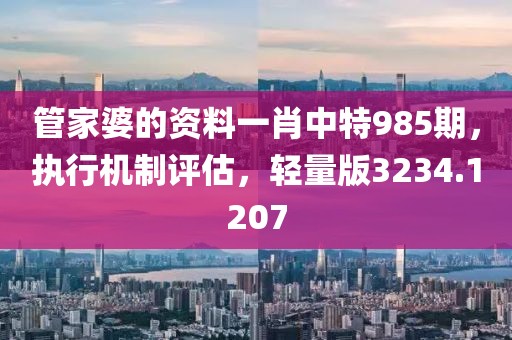 管家婆的资料一肖中特985期，执行机制评估，轻量版3234.1207