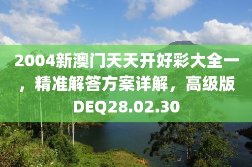 2004新澳门天天开好彩大全一，精准解答方案详解，高级版DEQ28.02.30