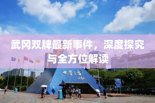 武冈双牌最新事件，深度探究与全方位解读