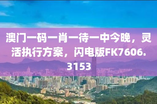澳门一码一肖一待一中今晚，灵活执行方案，闪电版FK7606.3153
