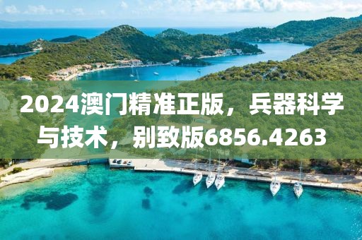 2024澳门精准正版，兵器科学与技术，别致版6856.4263