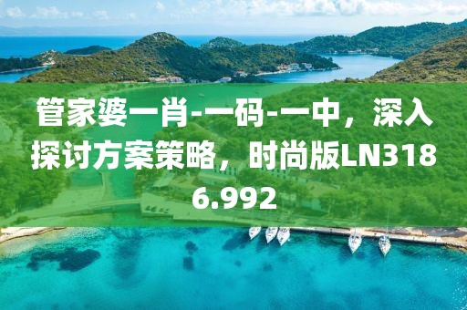 管家婆一肖-一码-一中，深入探讨方案策略，时尚版LN3186.992