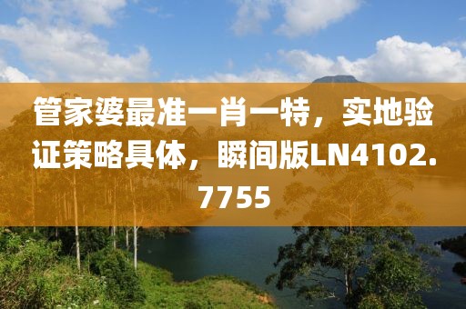 管家婆最准一肖一特，实地验证策略具体，瞬间版LN4102.7755
