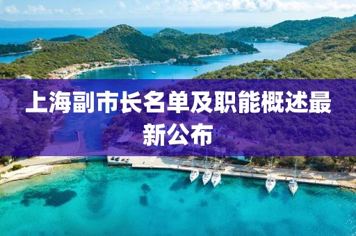 上海副市长名单及职能概述最新公布