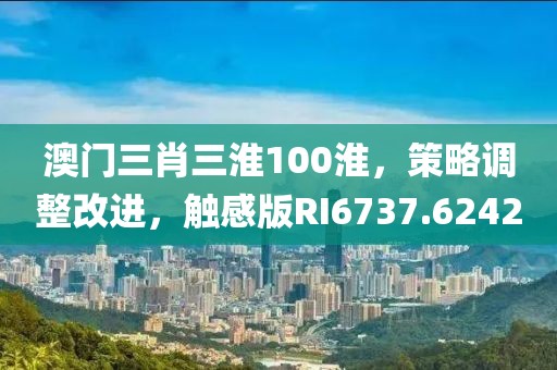 澳门三肖三淮100淮，策略调整改进，触感版RI6737.6242