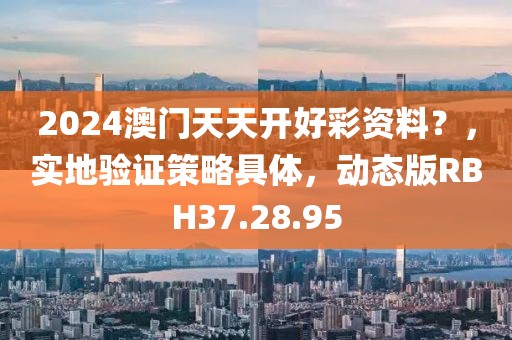 2024澳门天天开好彩资料？，实地验证策略具体，动态版RBH37.28.95