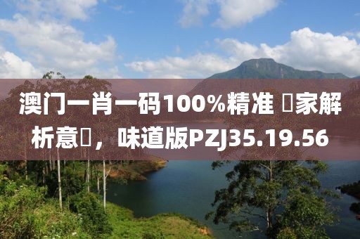 澳门一肖一码100%精准 專家解析意見，味道版PZJ35.19.56