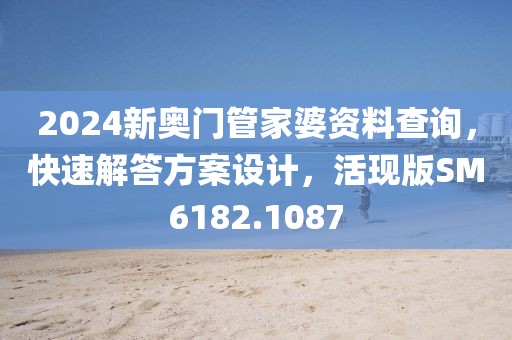 2024新奥门管家婆资料查询，快速解答方案设计，活现版SM6182.1087