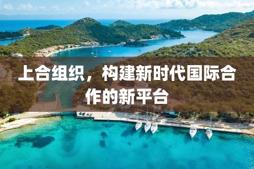 上合组织，构建新时代国际合作的新平台