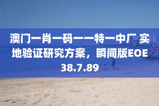 澳门一肖一码一一特一中厂 实地验证研究方案，瞬间版EOE38.7.89