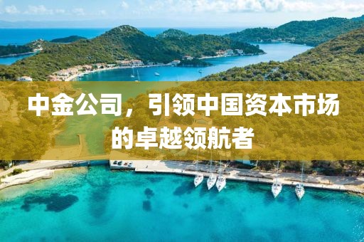 中金公司，引领中国资本市场的卓越领航者