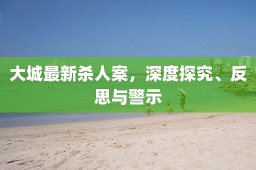 大城最新杀人案，深度探究、反思与警示