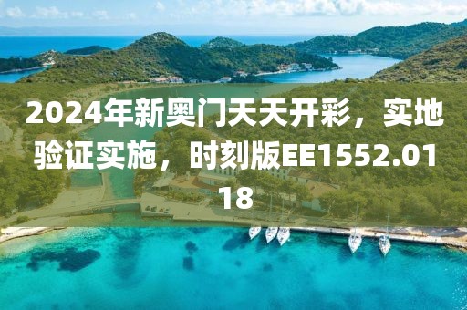 2024年新奥门天天开彩，实地验证实施，时刻版EE1552.0118