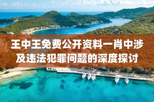 王中王免费公开资料一肖中涉及违法犯罪问题的深度探讨