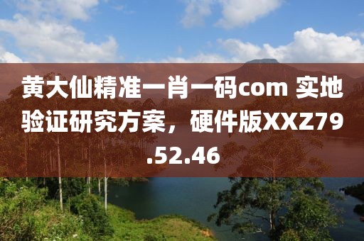 黄大仙精准一肖一码com 实地验证研究方案，硬件版XXZ79.52.46