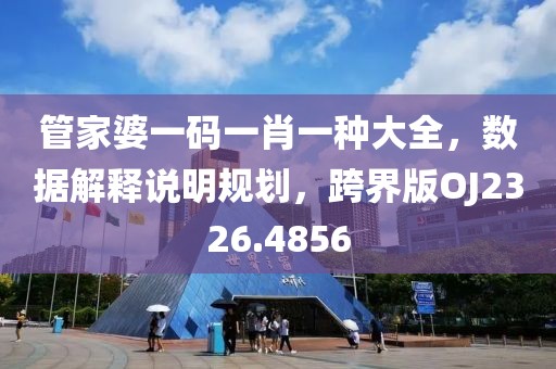 管家婆一码一肖一种大全，数据解释说明规划，跨界版OJ2326.4856