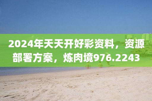 2024年天天开好彩资料，资源部署方案，炼肉境976.2243