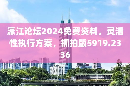 濠江论坛2024免费资料，灵活性执行方案，抓拍版5919.2336