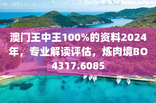 澳门王中王100%的资料2024年，专业解读评估，炼肉境BO4317.6085