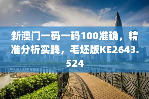 新澳门一码一码100准确，精准分析实践，毛坯版KE2643.524