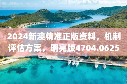 2024新澳精准正版资料，机制评估方案，明亮版4704.0625