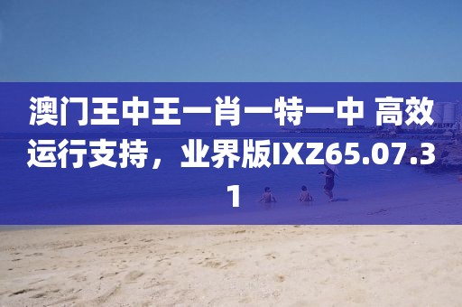 澳门王中王一肖一特一中 高效运行支持，业界版IXZ65.07.31
