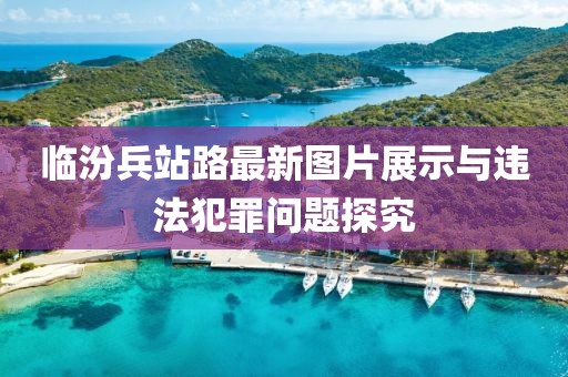 临汾兵站路最新图片展示与违法犯罪问题探究