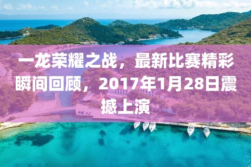 一龙荣耀之战，最新比赛精彩瞬间回顾，2017年1月28日震撼上演
