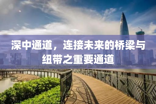 深中通道，连接未来的桥梁与纽带之重要通道