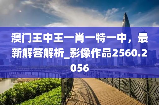 澳门王中王一肖一特一中，最新解答解析_影像作品2560.2056