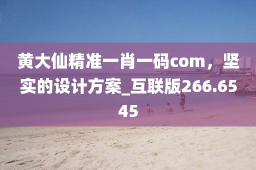 黄大仙精准一肖一码com，坚实的设计方案_互联版266.6545