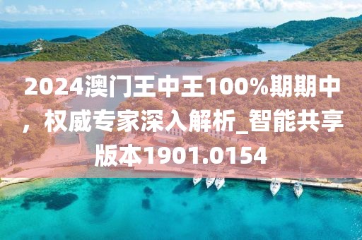 2024澳门王中王100%期期中，权威专家深入解析_智能共享版本1901.0154