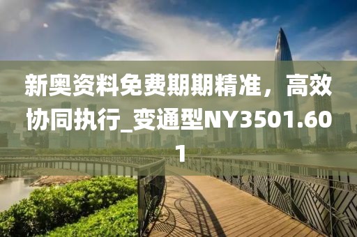 新奥资料免费期期精准，高效协同执行_变通型NY3501.601