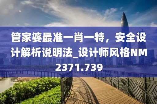 管家婆最准一肖一特，安全设计解析说明法_设计师风格NM2371.739