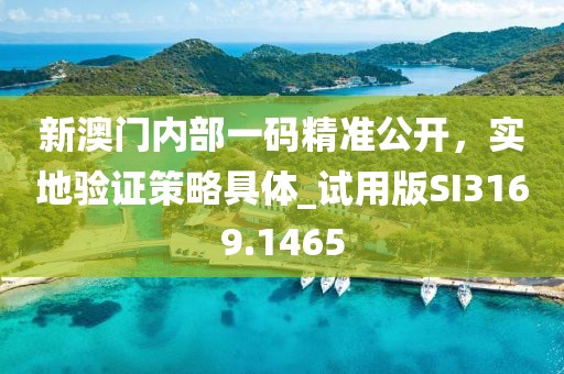 新澳门内部一码精准公开，实地验证策略具体_试用版SI3169.1465