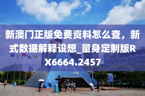 新澳门正版免费资料怎么查，新式数据解释设想_量身定制版RX6664.2457